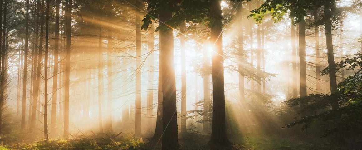 Discípulos en la tormenta
