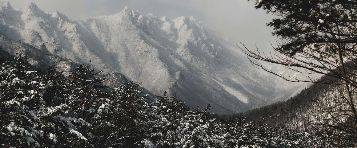 El estanque El estanque