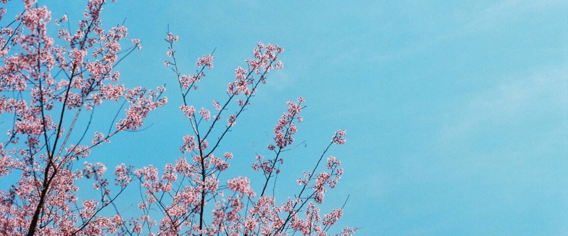 Nadie ha hablado como Él