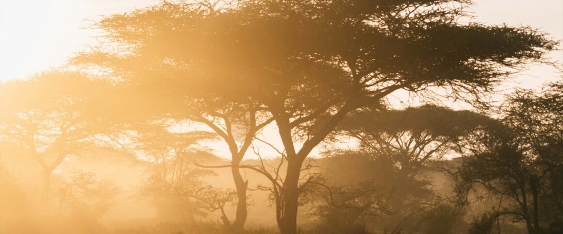 Somos canales siempre