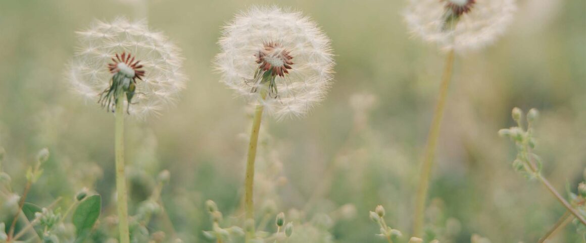 ¿Por quién darías tu vida?