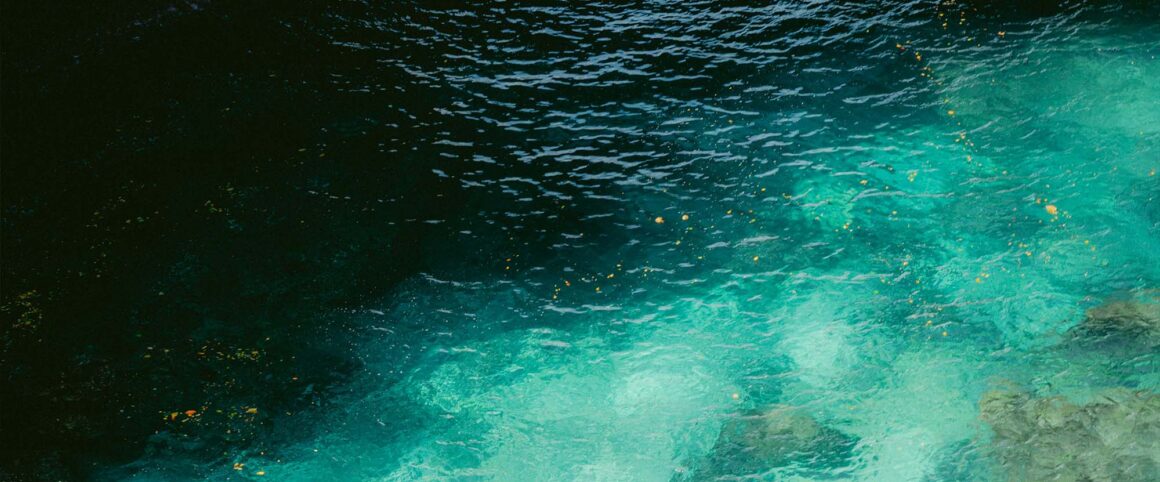 Despertar la palabra